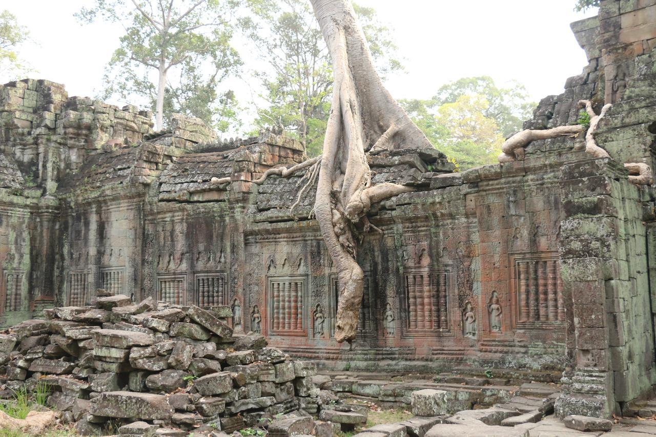 Vilada Angkor Boutique Siem Reap Eksteriør bilde
