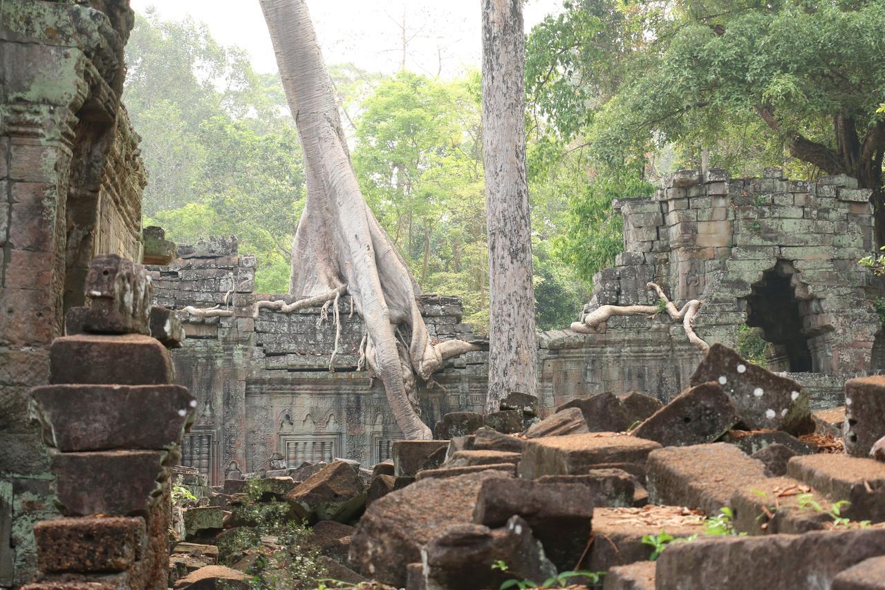 Vilada Angkor Boutique Siem Reap Eksteriør bilde