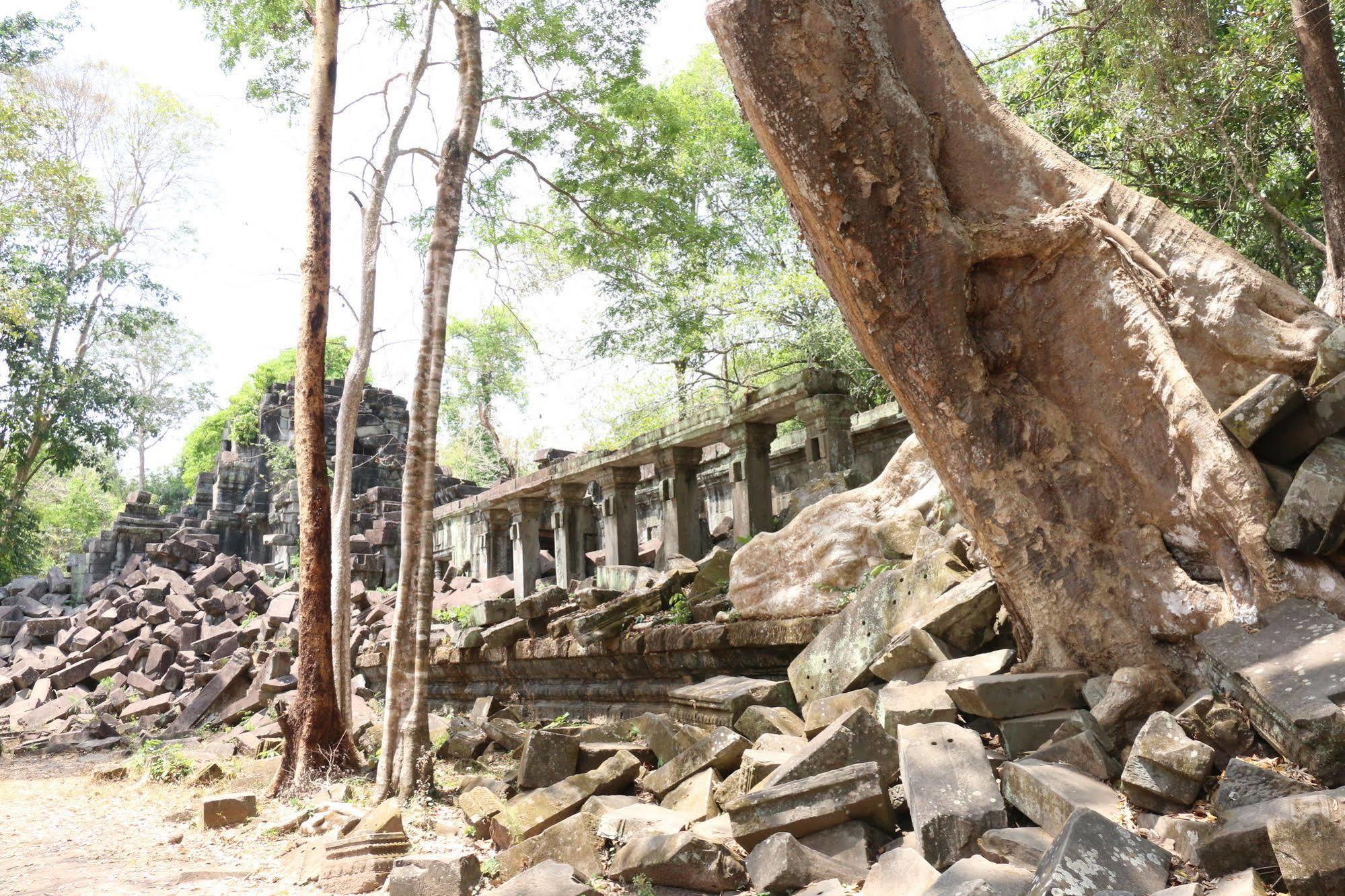 Vilada Angkor Boutique Siem Reap Eksteriør bilde
